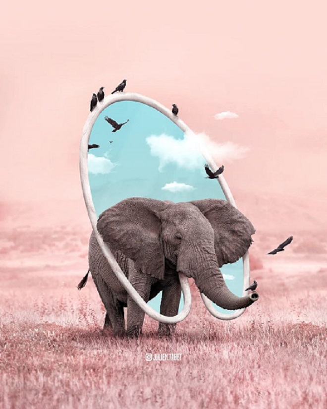 Cet artiste réinvente le monde animal avec ses créations amusantes et réussies Cet artiste réinvente le monde animal avec ses créations amusantes et réussies